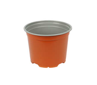 Bloempot 12 cm 5° Laag MM