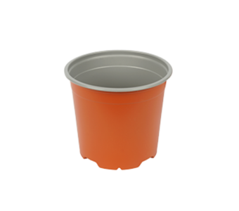 Bloempot 13 cm 5° Hoog MM