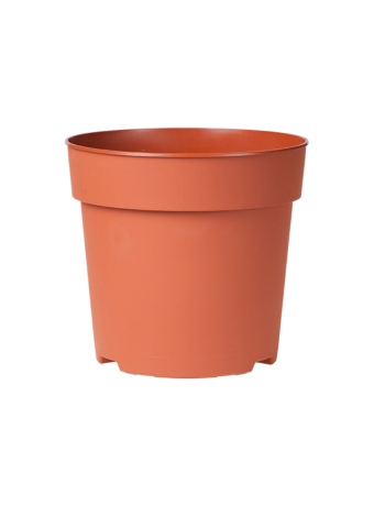 Potcontainer 24 cm 5° Hoog TN