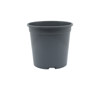 WPS Container 14 cm 5° DBP