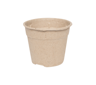 Bloempot 12 cm 8° MM