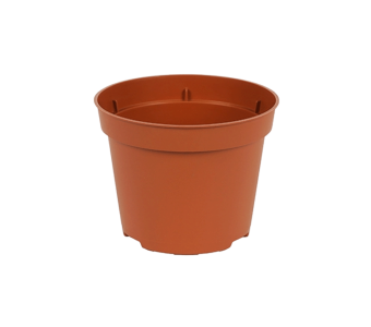 Bloempot 6 cm 7° TN