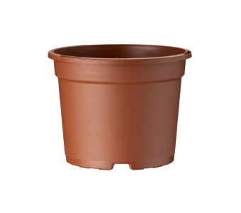 Bloempot CLN 11 cm 5° DH