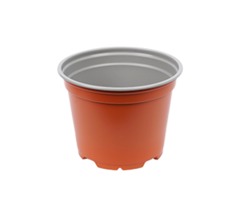 Bloempot 12 cm 8° Laag MM