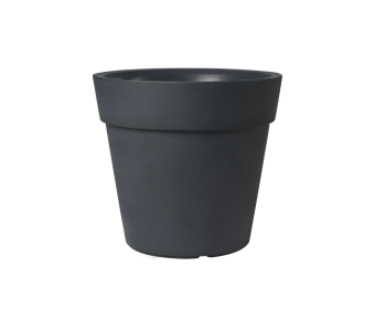 Lira Elite 28 cm PI