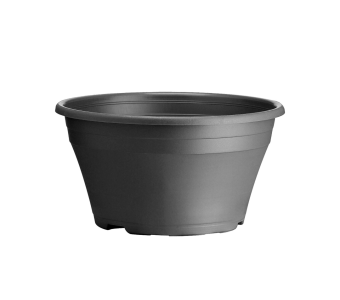 Schaal Mariska 23 cm DH