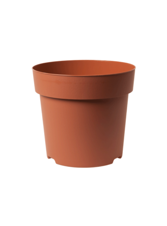 Potcontainer 19 cm 5° Hoog TN