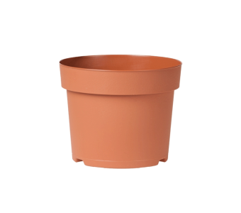 Potcontainer 10,5 cm 5° Laag TN