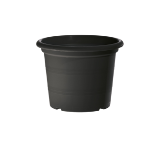 Leader 18 cm EA