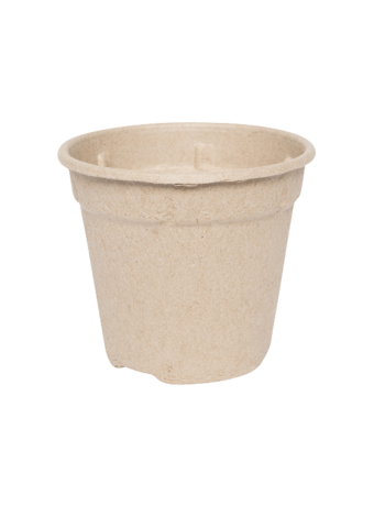 Bloempot 13 cm 8° MM