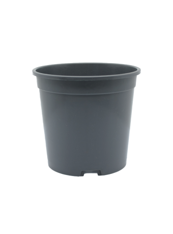 WPS Container 14 cm 5° DBP