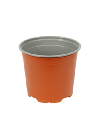 Bloempot 12 cm 5° Hoog MM