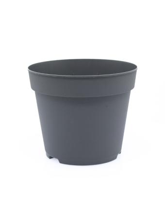 WPS Bloempot 13,7 cm 8° DBP