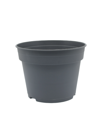 WPS Bloempot 17 cm 8° Laag DBP