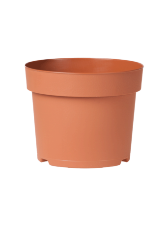 Potcontainer 19 cm 5° Laag TN