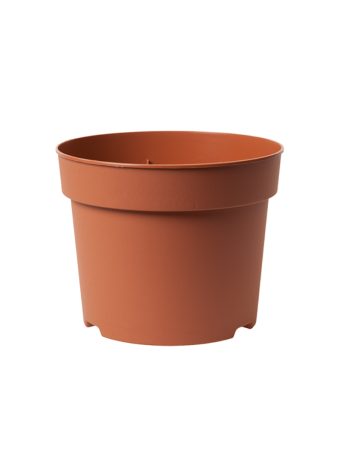 Potcontainer 13 cm 5° Laag TN