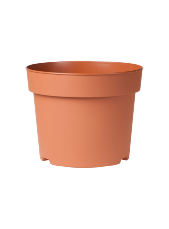 Potcontainer 15 cm 5° Laag TN