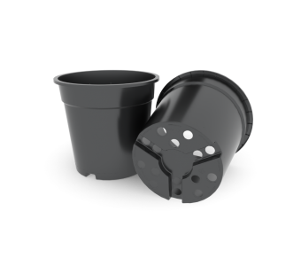 Container KC 24 cm YB KL
