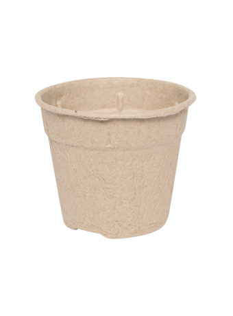 Bloempot 12 cm 8° MM