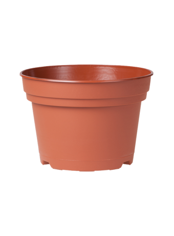 Bloempot 12 cm 8° TN