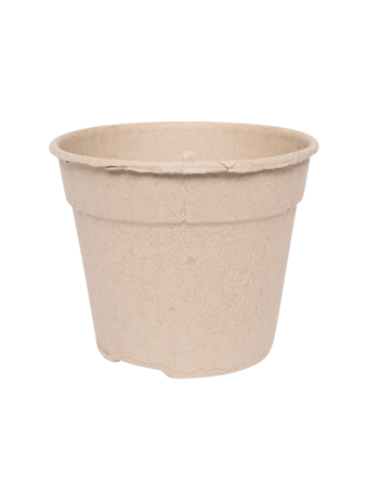 Bloempot 17 cm 8° MM