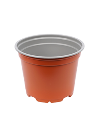 Bloempot 12 cm 8° Laag MM