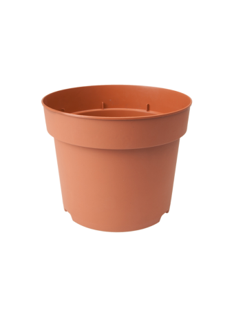 Potcontainer 14 cm 5° Hoog TN