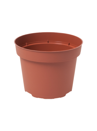 Bloempot 11,5 cm 7° TN