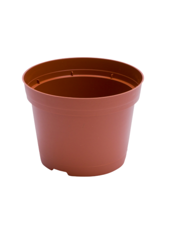 Bloempot 10,5 cm 7° TN