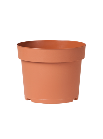Potcontainer 12 cm 5° Laag TN