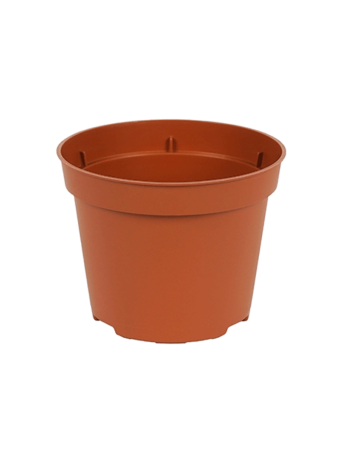 Bloempot 6 cm 7° TN