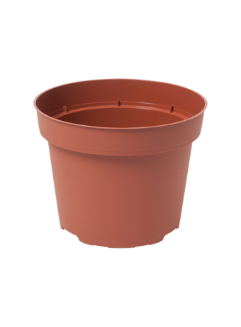 Bloempot 12 cm 7° TN