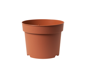 Potcontainer 13 cm 5° Laag TN