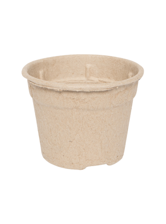 Bloempot 10,5 cm 8° MM