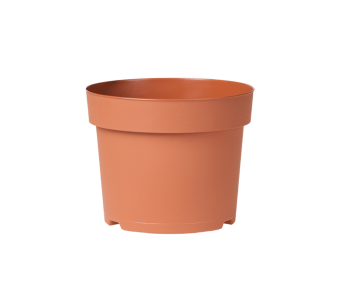 Potcontainer 12 cm 5° Laag TN