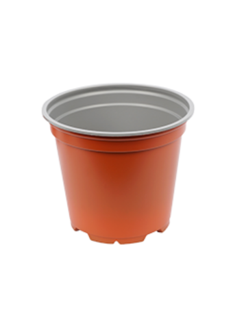 Bloempot 12 cm 8° Hoog MM
