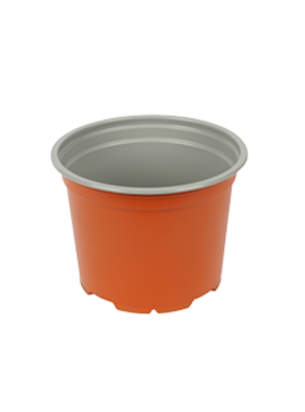 Bloempot 13 cm 5° Laag MM