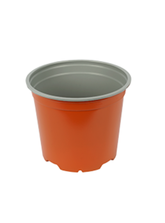 Bloempot 15 cm 5° MM