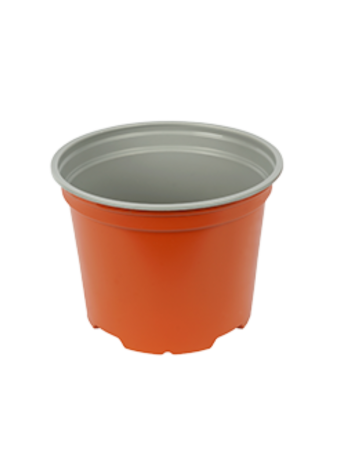Bloempot 17 cm 5° Laag MM