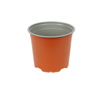 Bloempot 12 cm 5° Hoog MM