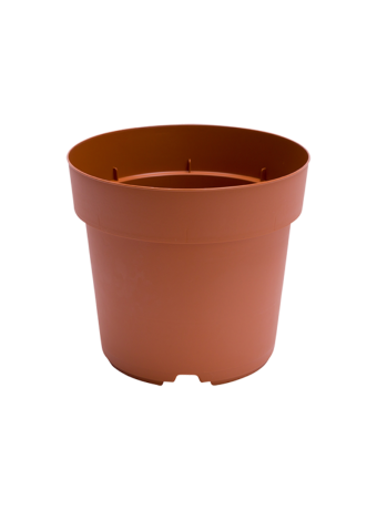 Potcontainer 17 cm 5° Hoog HV TN