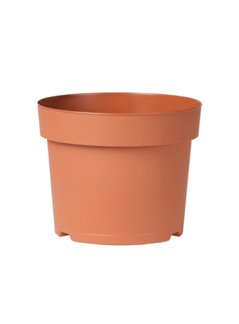 Potcontainer 10,5 cm 5° Laag TN