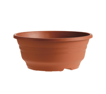 Schaal Vera 16 cm DH