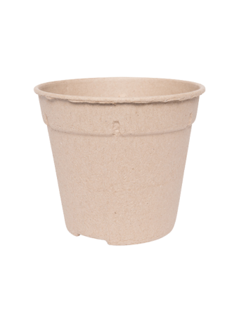 Bloempot 19 cm 8° MM