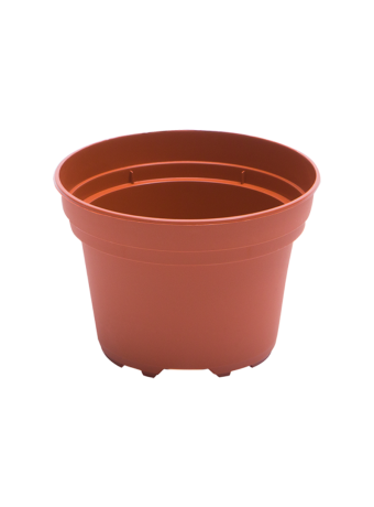 Bloempot 12 cm 8° TN